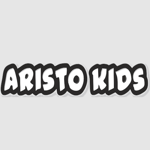 How to Choose the Best Abacus Franchise in India – Aristo Kids