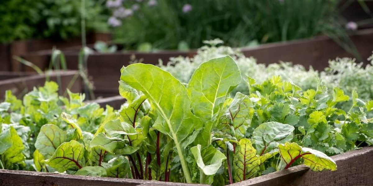 Small Planter Box Vegetables